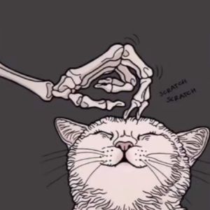 Meet your Posher, Junior